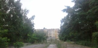 Bezpłatna komunikacja w Gorzowie Wielkopolskim od stycznia 2026