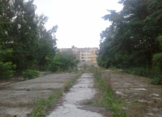 Bezpłatna komunikacja w Gorzowie Wielkopolskim od stycznia 2026