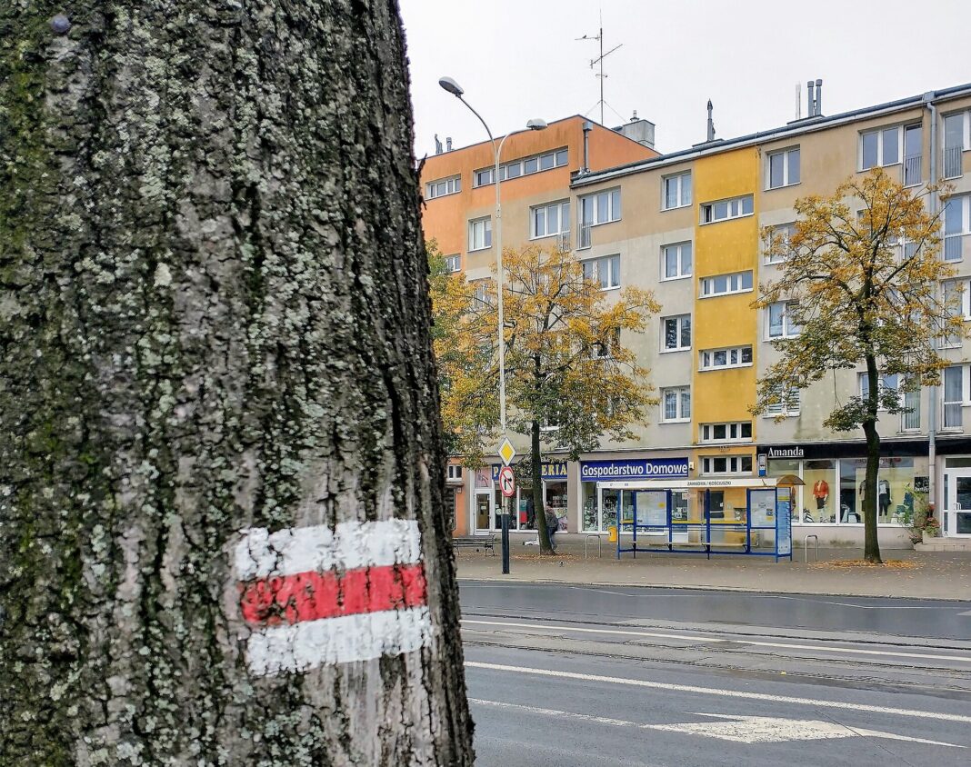 Pabianice inwestuje 80 milionów złotych w infrastrukturę na 2026