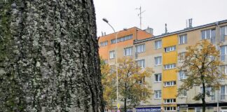 Pabianice inwestuje 80 milionów złotych w infrastrukturę na 2026