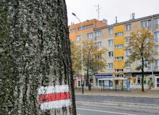 Pabianice inwestuje 80 milionów złotych w infrastrukturę na 2026
