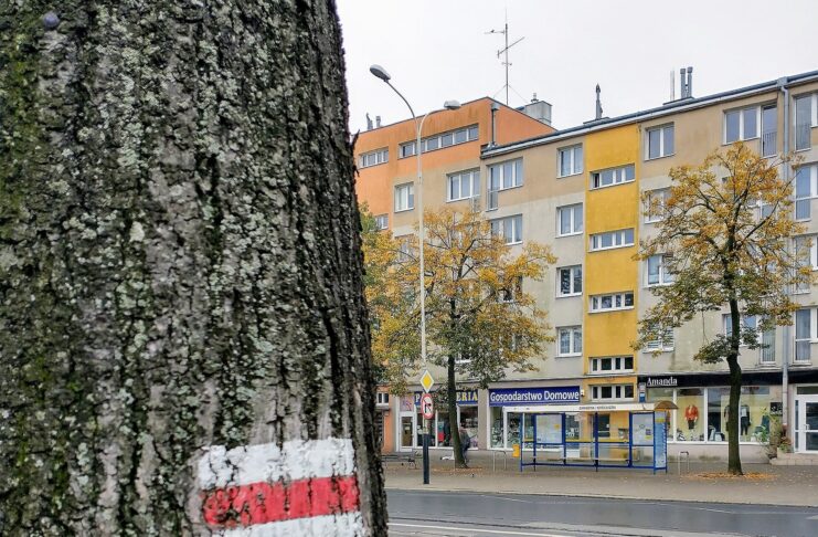 Pabianice inwestuje 80 milionów złotych w infrastrukturę na 2026