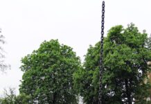 Sandomierz inwestuje 67 mln zł w obronę przed powodzią Sandomierz inwestuje 67 mln zł w obronę przed powodzią