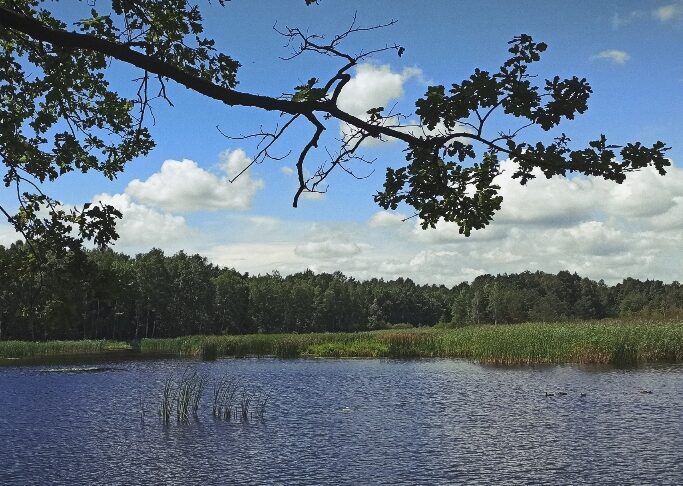 GKS Tychy zdobył siódme mistrzostwo Polski