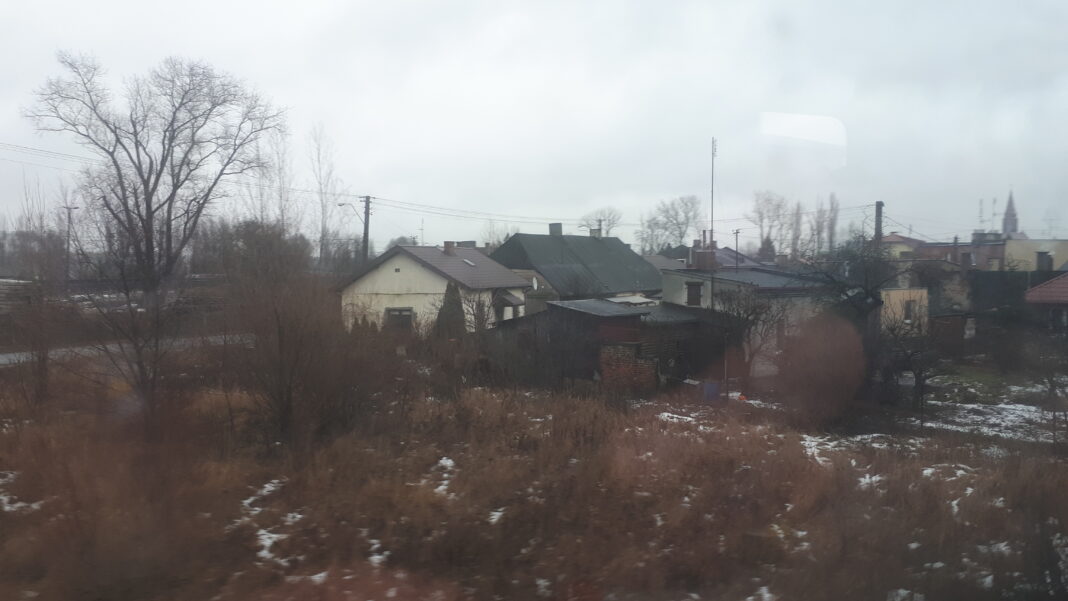 Kutno - miasto róż z bogatą tradycją