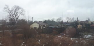 Kutno - miasto róż z bogatą tradycją