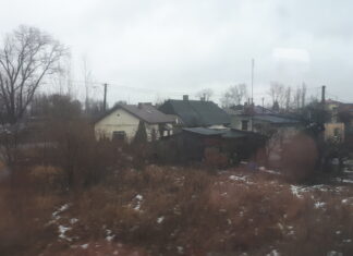Kutno - miasto róż z bogatą tradycją