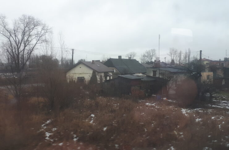 Kutno - miasto róż z bogatą tradycją