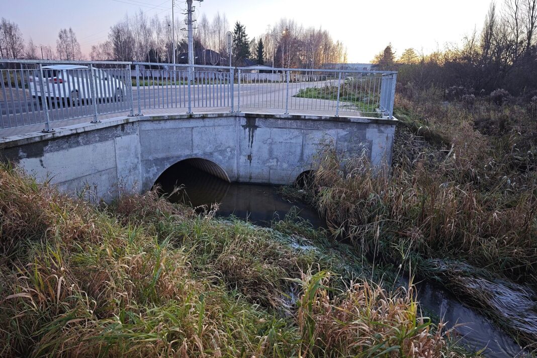 Rumia przyciąga nowych mieszkańców - ponad 53 tysiące ludzi