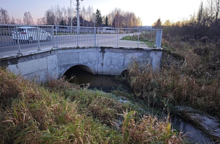 Rumia przyciąga nowych mieszkańców - ponad 53 tysiące ludzi