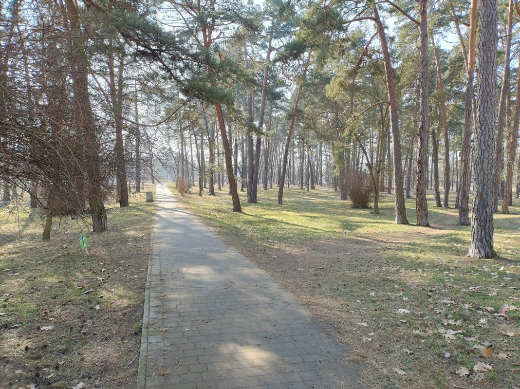 Stalowa Wola: 14 mln zł na zieleń i retencję w mieście Stalowa Wola: 14 mln zł na zieleń i retencję w mieście