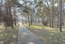 Stalowa Wola: 14 mln zł na zieleń i retencję w mieście