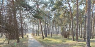Stalowa Wola: 14 mln zł na zieleń i retencję w mieście