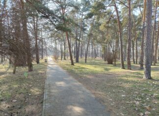 Stalowa Wola: 14 mln zł na zieleń i retencję w mieście