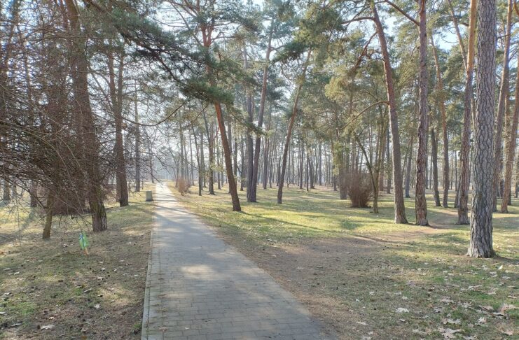 Stalowa Wola: 14 mln zł na zieleń i retencję w mieście