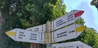 Starachowice: ponad 4,5 mln zł na targowisko i skwer przy Zakładowej