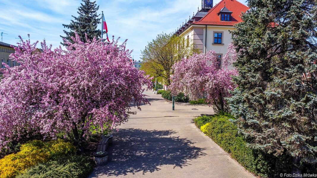 Swarzędz: ul. Przybylskiego do przebudowy za 10,5 mln zł Swarzędz: ul. Przybylskiego do przebudowy za 10,5 mln zł