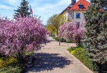 Swarzędz: ul. Przybylskiego do przebudowy za 10,5 mln zł