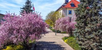 Swarzędz: ul. Przybylskiego do przebudowy za 10,5 mln zł