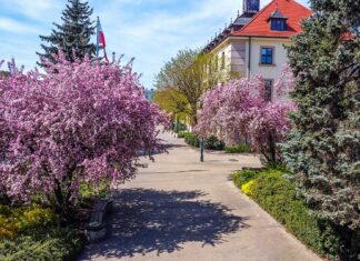 Swarzędz: ul. Przybylskiego do przebudowy za 10,5 mln zł Swarzędz: ul. Przybylskiego do przebudowy za 10,5 mln zł