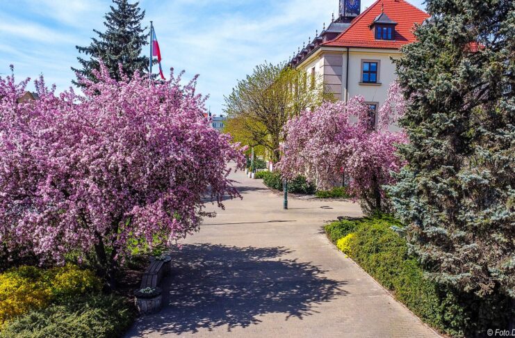 Swarzędz: ul. Przybylskiego do przebudowy za 10,5 mln zł
