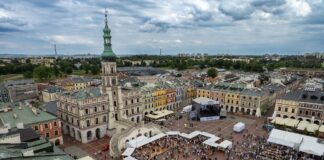 S17 pod Zamościem: Kobylarnia zbuduje 12 km za 361,8 mln zł